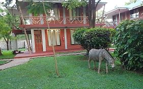 Njake Jambo Lodge & Camp
